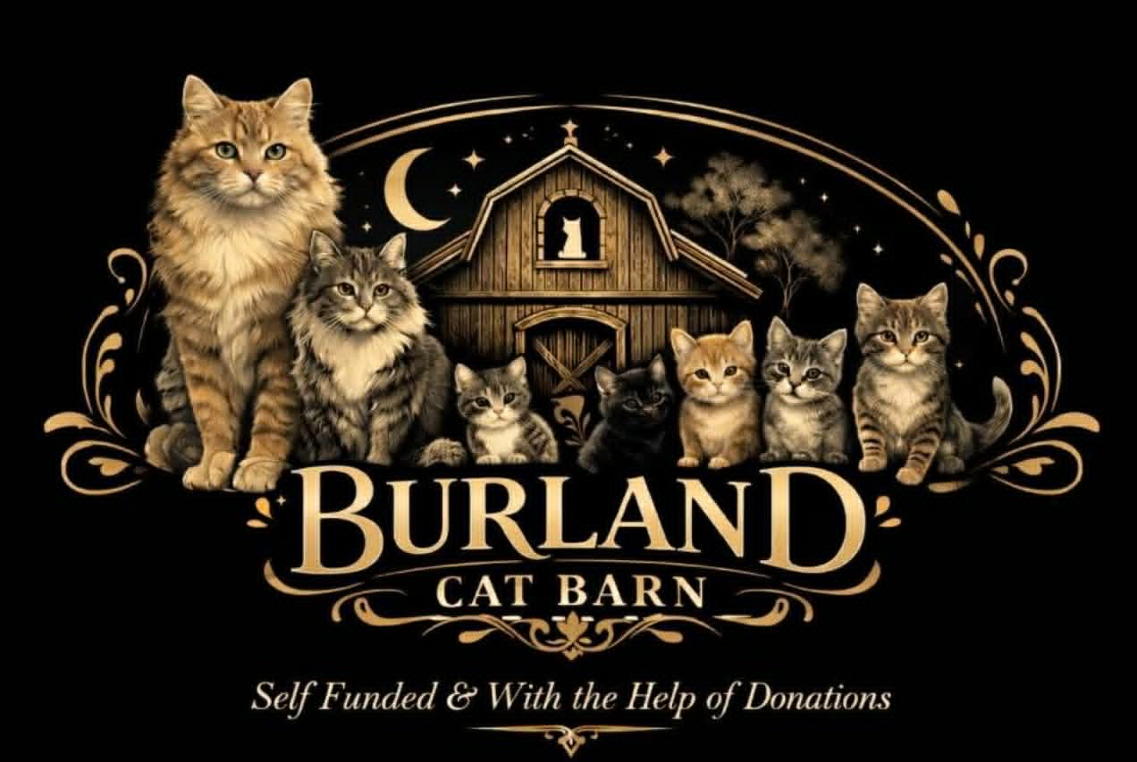 Burland Car Barn